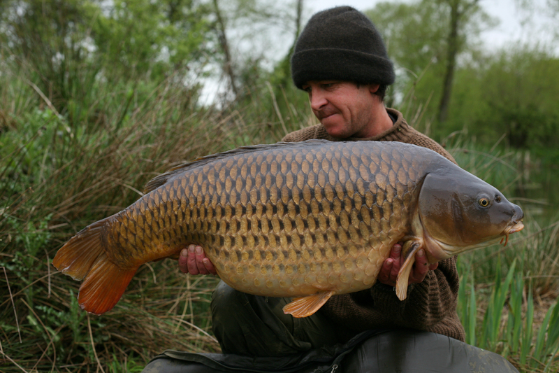 39lb