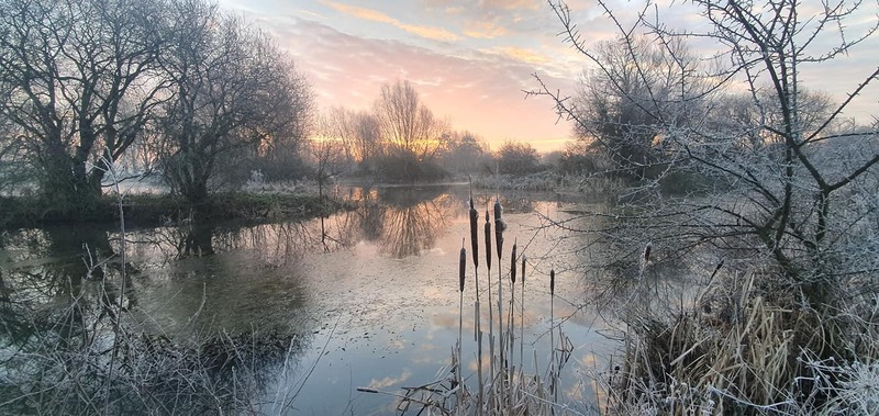 Photograph Martin Cox