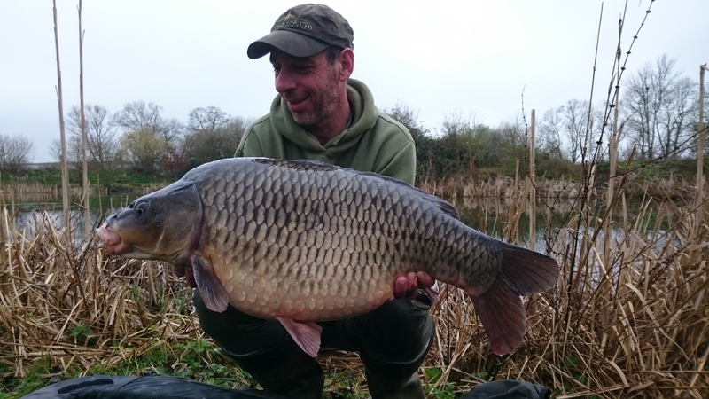 Trev's 28lb common