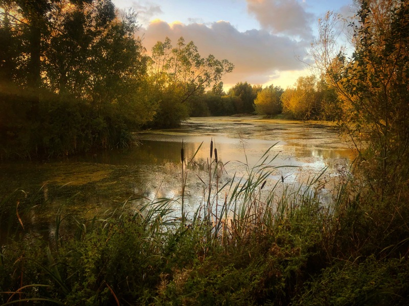 An early Autumn evening.