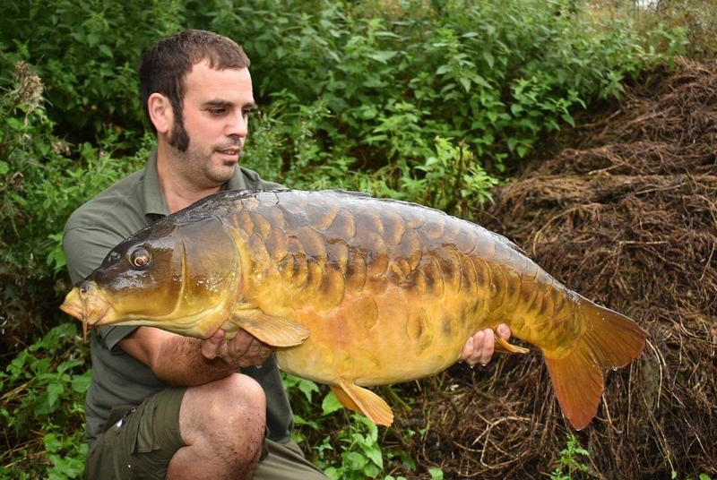 Martin Noble and Patch