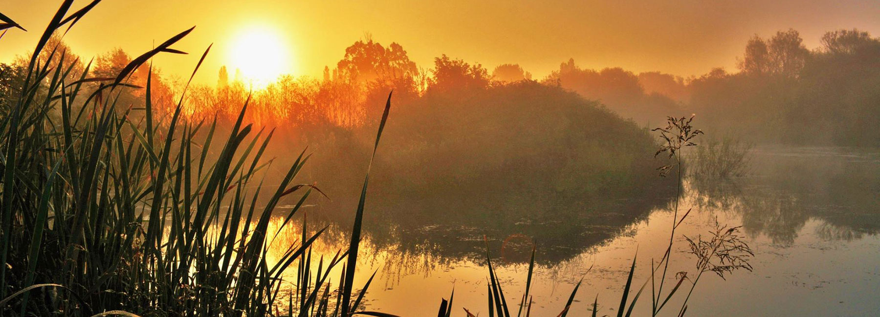 Scenic of Ashmead Fishery