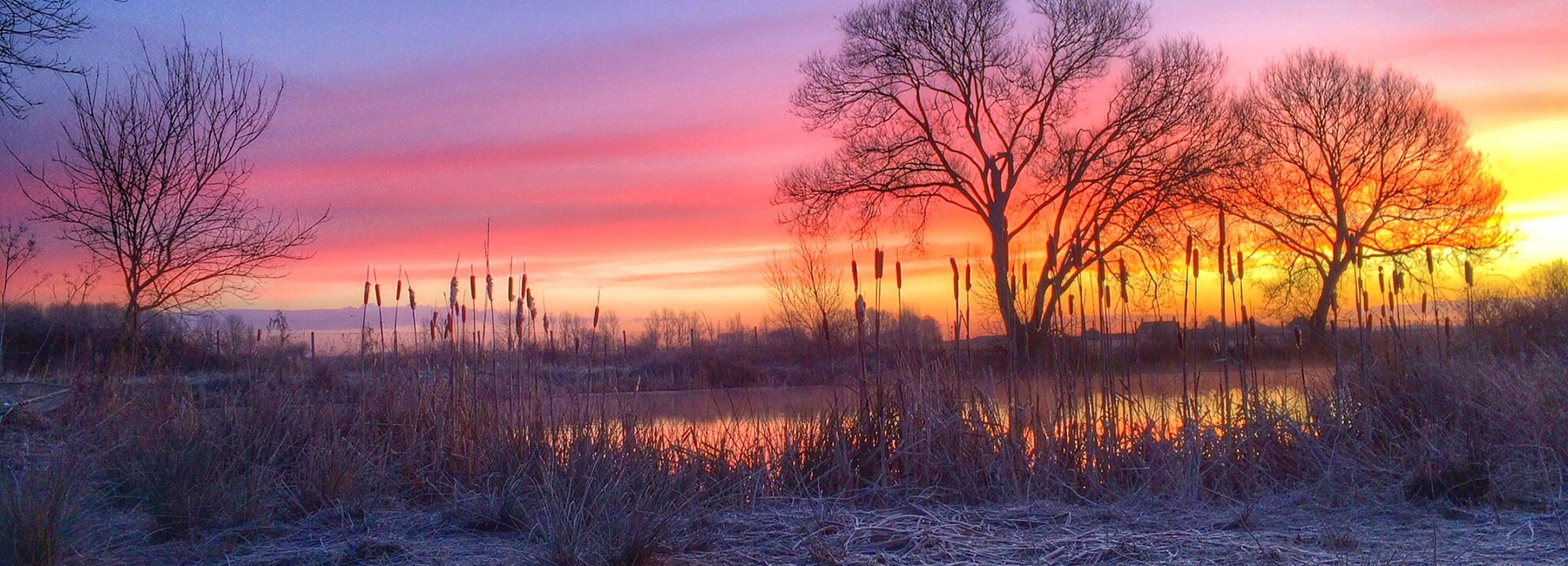 A view across Ashmead