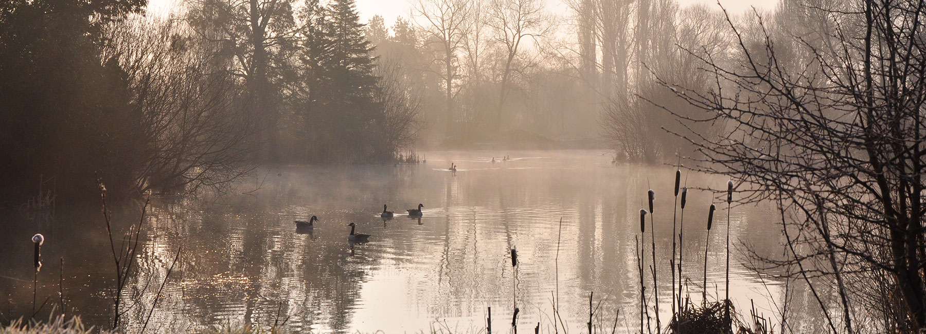 Ashmead Carp Fishery